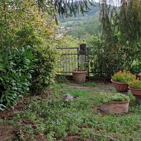 Area Relax Apartment