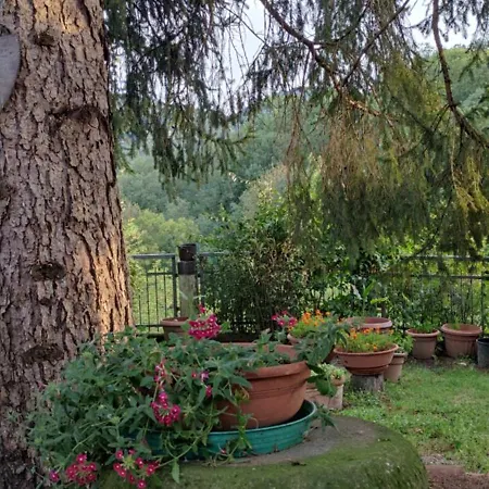 Area Relax *